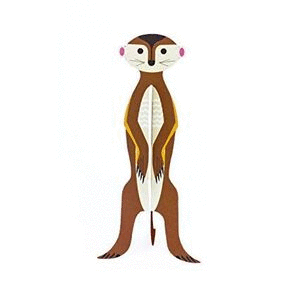 SURICATA POP OUT