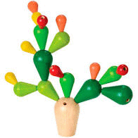 MINI CACTUS EN EQUILIBRIO