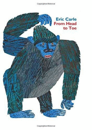 FROM HEAD TO TOE PADDED BOARD BOOK
