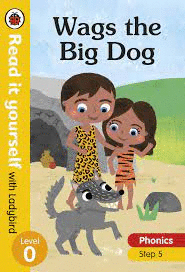 WASH THE BIG DOG