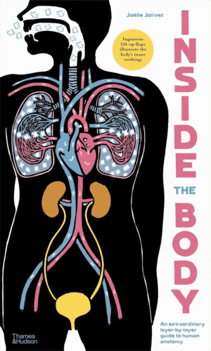 INSIDE THE BODY