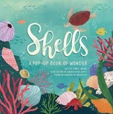 SHELLS: A POP-UP BOOK OF WONDER