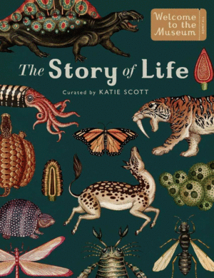 STORY OF LIFE EVOLUTION