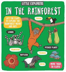 LITTLE EXPLORERS : IN THE RAINFOREST