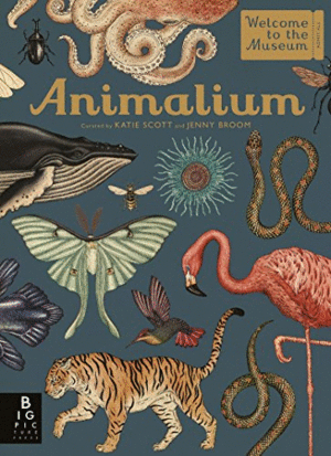 ANIMALIUM INGLÉS