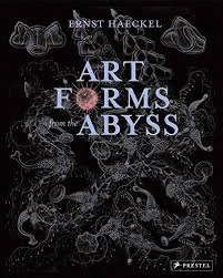 ART FORMS FROM THE ABYSS