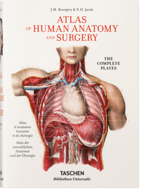 ATLAS OF HUMAN ANATOMY