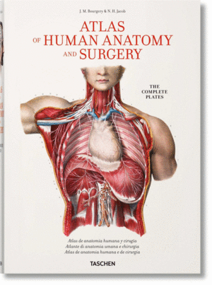 BOURGERY ATLAS DE ANATOMIA HUMANA Y CIRUGIA