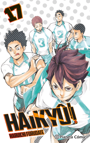 HAIKYU!! Nº 17/45