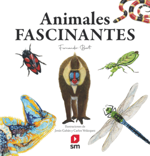 ANIMALES FASCINANTES