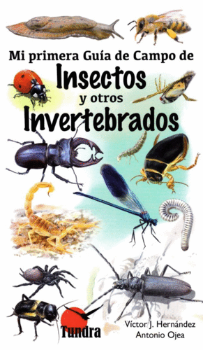 INSECTOS Y OTROS INVERTEBRADOS/MI PRIMERA GUIA DE