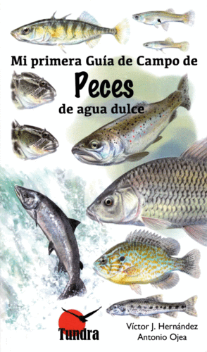 PECES DE AGUA DULCE/MI PRIMERA GUIA DE CAMPO