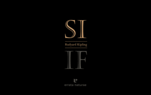 SI ; IF