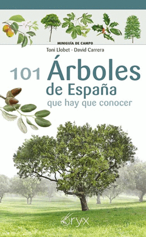 101 ARBOLES DE ESPA¥A - QUE HAY QUE CONOCER