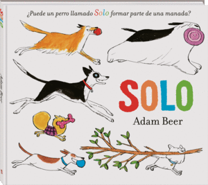 SOLO