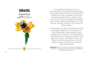 LEGO BOTANICALS - FLORES SILVESTRES