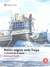 NAVES NEGRAS ANTE TROYA