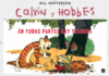 CALVIN Y HOBBES