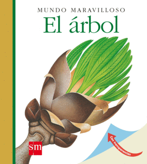 EL ÁRBOL