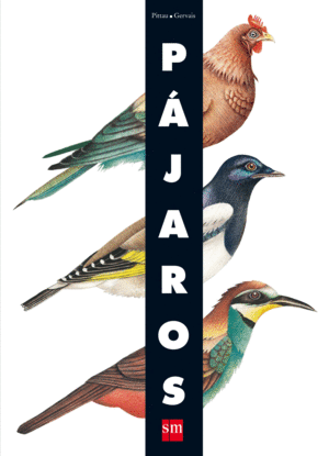 PÁJAROS