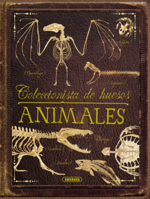 ANIMALES, COLECCIONISTA HUESOS