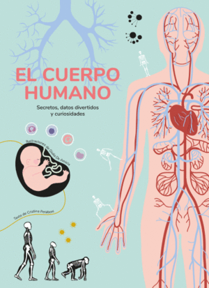 CUERPO HUMANO, EL