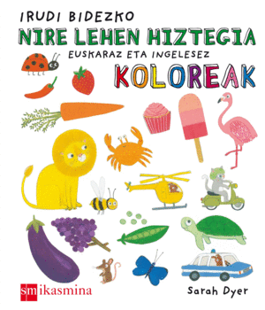 IRUDI BIDEZKO NIRE LEHEN HIZTEGIA: KOLOR