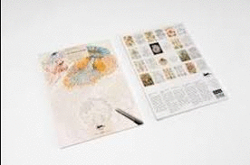ART FORMS IN NATURE ARTISTS COLOURING BOOK