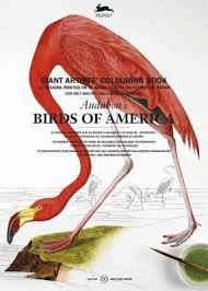 PEP COLOURING BOOK XL BIRDS OF AMERICA